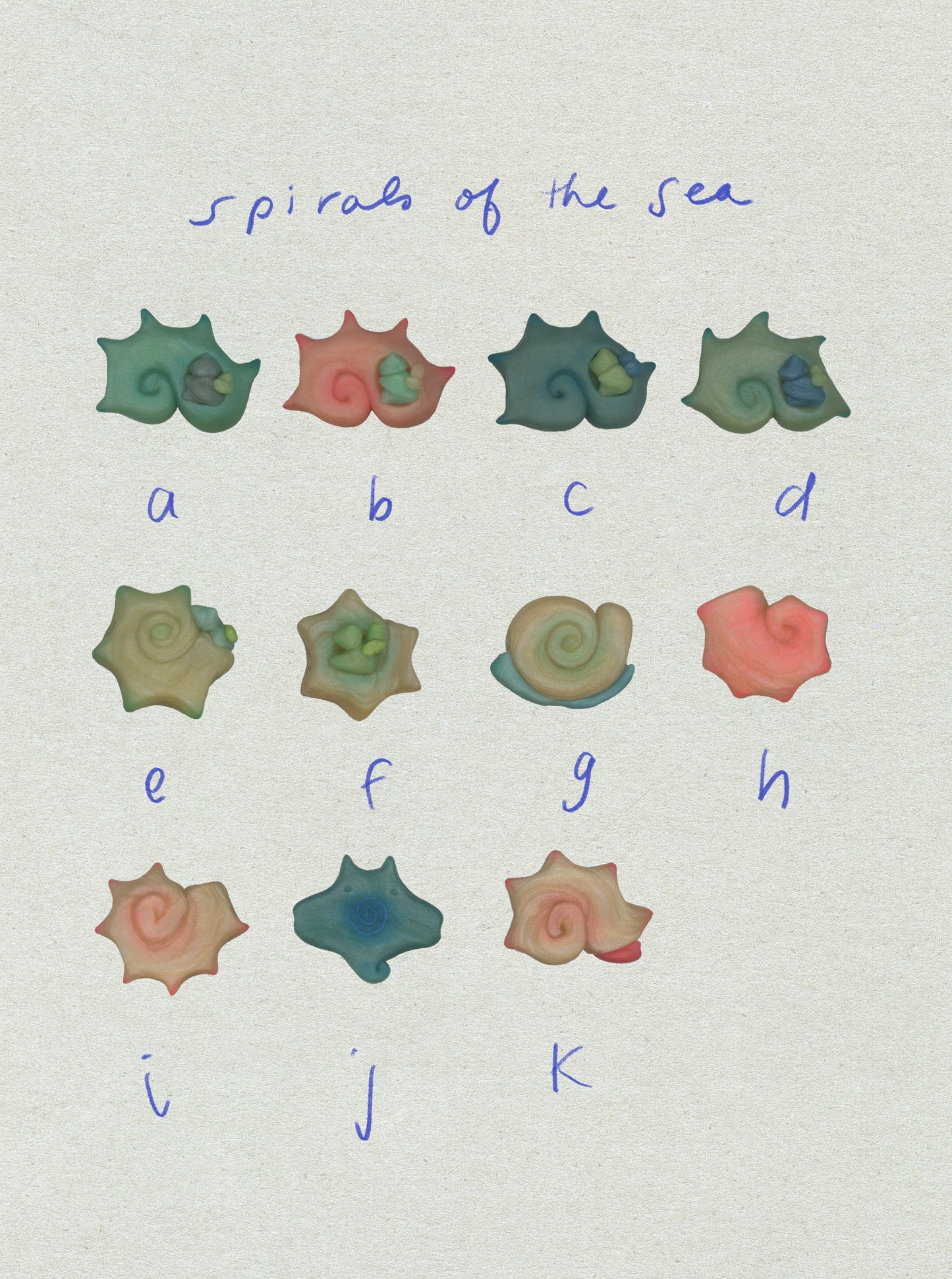 spirals of the sea