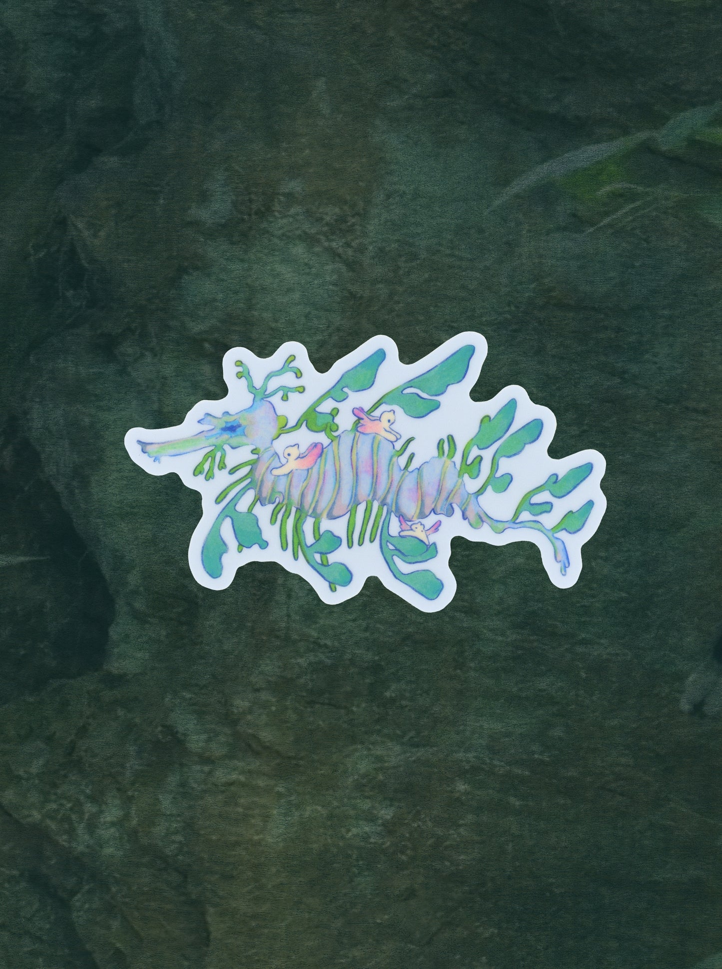 leafy sea dragon sticker