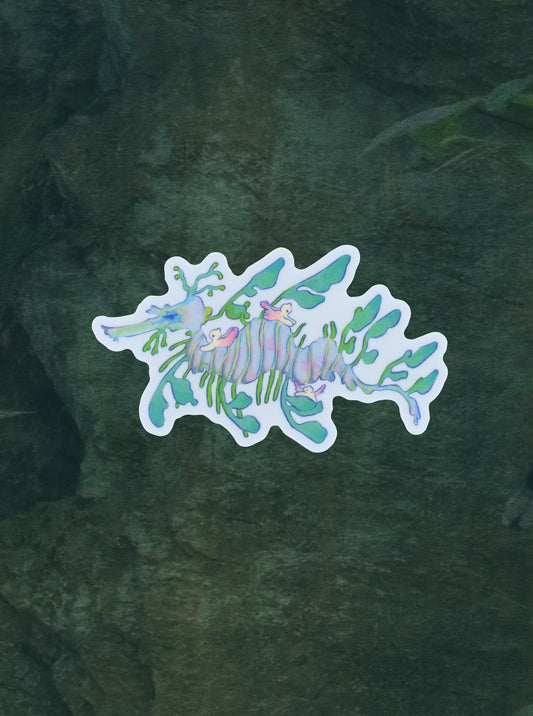 leafy sea dragon sticker