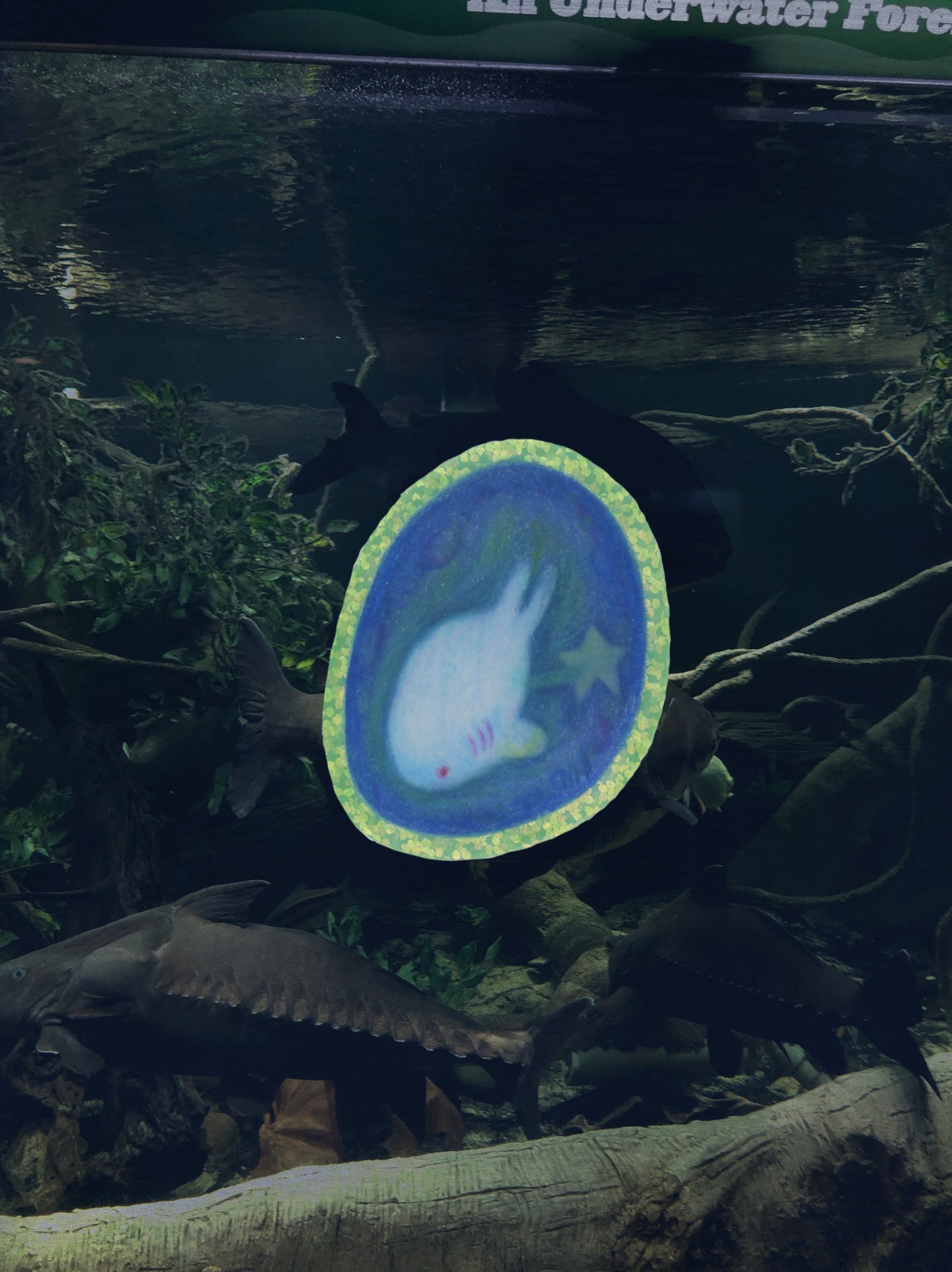 fish egg sticker