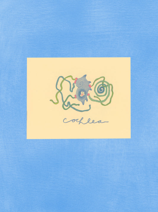 cochlea zine